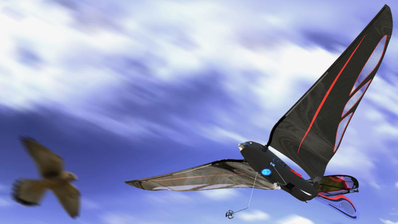 Un ingénieur a fabriqué un oiseau robotisé de 10 grammes, capable d’atteindre jusqu’à 31 km/h et contrôlé via smartphone