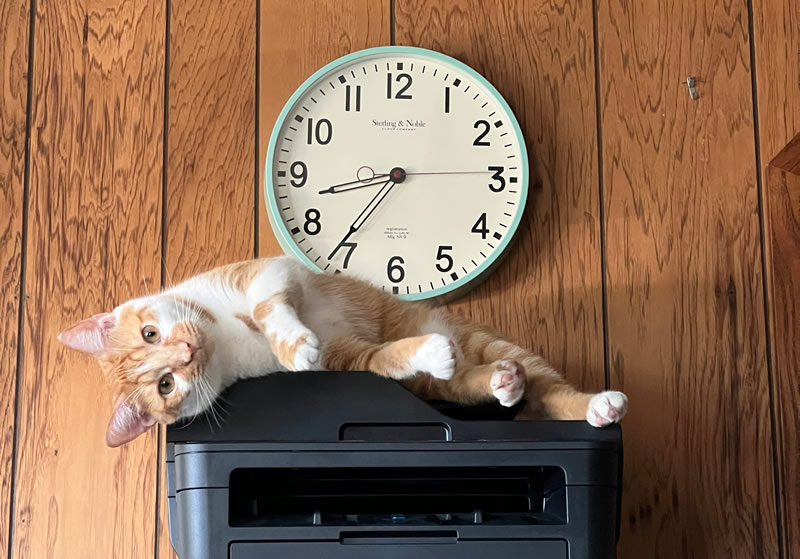 Windows 11 cessera de prendre en charge les anciens pilotes d'imprimantes V3 et V4 lors de la prochaine mise à jour