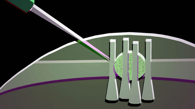 Les scientifiques ont transformé une goutte de cristal liquide en un transistor optique flexible pour les futurs puces photoniques.