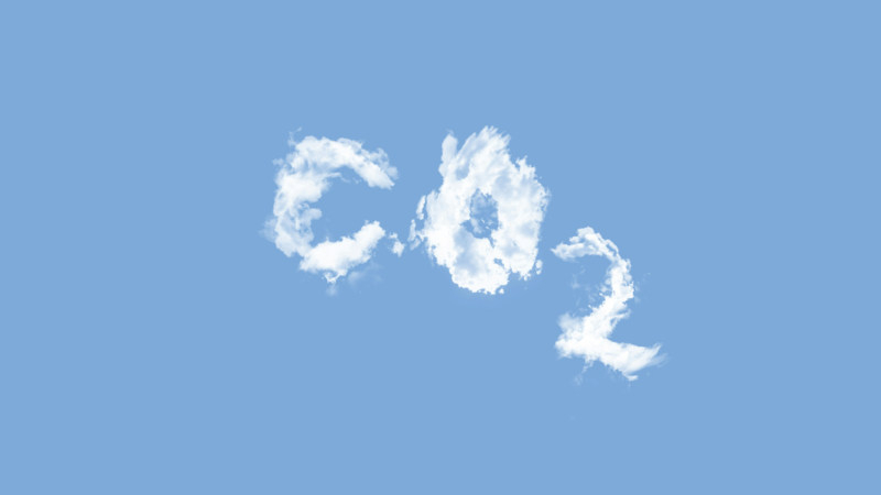 Des centaines de milliers se sont transformés en dizaines de millions : l'intelligence artificielle a accéléré la demande de crédits carbone chez les géants technologiques