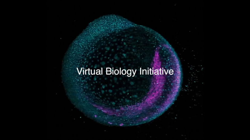 Le Biohub de Mark Zuckerberg a commencé à accélérer le traitement de toutes les maladies en utilisant des modèles d’IA cellulaires