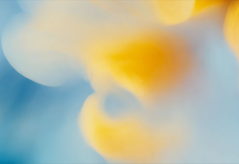 OpenAI réduira les projets parallèles afin de ne pas être dépassé dans la course à l'intelligence artificielle