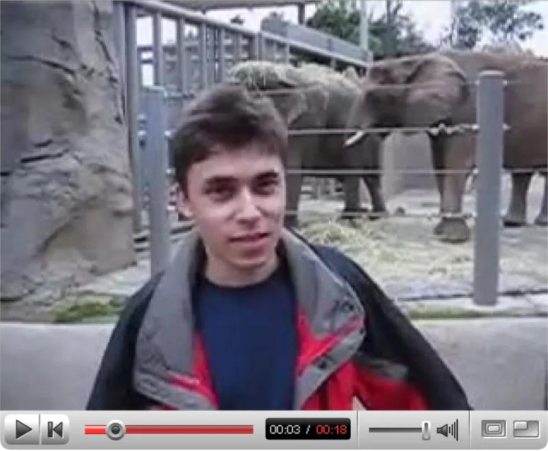 Les premières vidéos de YouTube sont entrées dans la collection du musée.