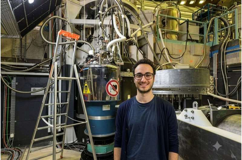 La corrélation quantique a été détectée dans un cristal centimétrique d'un métal inhabituel, comme l'ont montré les physiciens avec le "fourmi de Schrödinger"