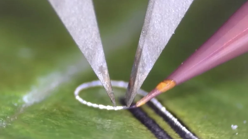 Les ingénieurs ont créé un appareil permettant d’appliquer des composants électroniques sur les tissus vivants et les implants médicaux sans les endommager